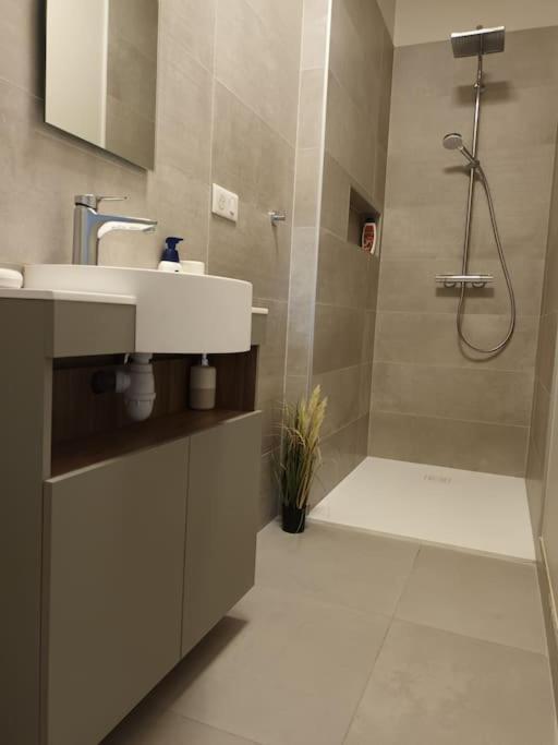 Castel De Satoya Apartman Belfort Kültér fotó